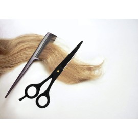 Facn Professional Razor Edge Barber Hair Cutting Scissors - Japanese Stainless Steel - 6.5 Length - Fine Adjustment Tension Screw - Salon Quality Premium Shears (The Bravo)