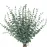 CEWOR 24pcs Eucalyptus Stems Artificial Eucalyptus Leaves Fake Greenery Branches Fake Flowers for Wedding Centerpiece Spring Easter Farmhouse Home Decoration