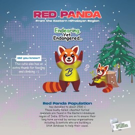 Bentodent Kids Fluoride Free Toothpaste - Natural Calcium Bentonite Clay, SLS Free, Fresh Breath, Gentle Whitening, Vegan, Travel, 3.52oz (Bubble Gum) Bentodent Kids Fluoride Free Toothpaste - Natural Calcium Bentonite Clay, SLS Free, Fresh Breath, Gentle Whitening, Vegan, Travel, 3.52oz (Bubble Gum)