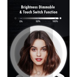 FASCINATE Magnifying Mirror 10X 1X Double Sided Magnification Makeup Vanity Mirror Rechargeable Lighted Mirror with 3 Color Setting Adjustable Rotation LED Vanity Desk Mirror