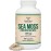 Irish Sea Moss Capsules, More Potent Than Sea Moss Gel Extract (180 Count, 1,200mg per Serving) (from Wildcrafted and Raw Chondrus Crispus) Nutrient Rich Superfood High in Minerals by Double Wood