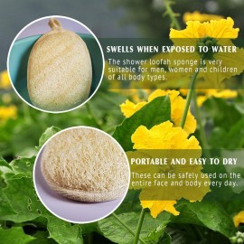 Natural Loofah Sponge Exfoliating Body Scrubber (3 Pack),Made with Eco-Friendly and Biodegradable Shower Luffa Sponge, Loofah for Women and Men, Beige Natural Loofah Sponge Exfoliating Body Scrubber (3 Pack),Made with Eco-Friendly and Biodegradable Shower Luffa Sponge, Loofah for Women and Men, Beige