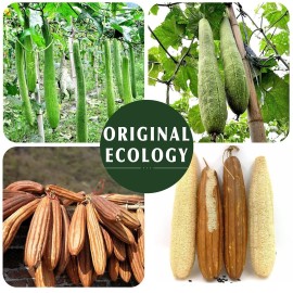 Natural Loofah Sponge Exfoliating Body Scrubber (3 Pack),Made with Eco-Friendly and Biodegradable Shower Luffa Sponge, Loofah for Women and Men, Beige Natural Loofah Sponge Exfoliating Body Scrubber (3 Pack),Made with Eco-Friendly and Biodegradable Shower Luffa Sponge, Loofah for Women and Men, Beige