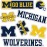 Desert Cactus University of Michigan Sticker Wolverines UM U of M Sticker Vinyl Decals Laptop Water Bottle Car Scrapbook Sheet T2 (Type 2)