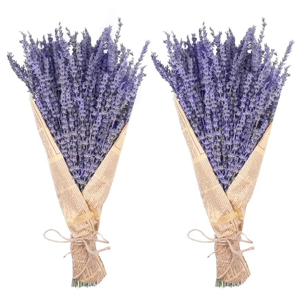 Uieke Dried Lavender Bundles, Natural Dried Lavender Flowers 280-300 Stems 16 for Home Weeding Decoration Flower Arrangements Home Fragrance 2 Bundles Uieke Dried Lavender Bundles, Natural Dried Lavender Flowers 280-300 Stems 16 for Home Weeding Decoration Flower Arrangements Home Fragrance 2 Bundles
