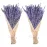Uieke Dried Lavender Bundles, Natural Dried Lavender Flowers 280-300 Stems 16 for Home Weeding Decoration Flower Arrangements Home Fragrance 2 Bundles