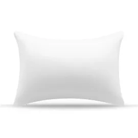 AM AEROMAX 12  20 Throw Pillow Memory Foam Pillow Insert - Rectangular Lumbar Support Pillow for Decorative Cushion Bed Couch Sofa - Non-Deforming Over Time