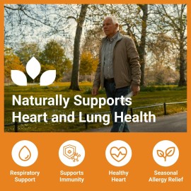 Luma Nutrition Quercetin 500mg - Quercetin with Bromelain Supplement - Antioxidant - Immune Support - Vegan & Gluten-Free - 60 Capsules Luma Nutrition Quercetin 500mg - Quercetin with Bromelain Supplement - Antioxidant - Immune Support - Vegan & Gluten-Free - 60 Capsules