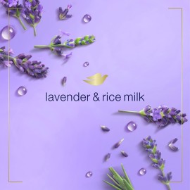 Dove Foaming Hand Wash Lavender & Rice Milk Pack of 4 Protects Skin from Dryness, More Moisturizers than the Leading Ordinary Hand Soap, 10.1 oz Dove Foaming Hand Wash Lavender & Rice Milk Pack of 4 Protects Skin from Dryness, More Moisturizers than the Leading Ordinary Hand Soap, 10.1 oz