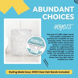 HOYOLS Clear Elastic Hair Bands, 2500 Small Rubber Bands Braids for Girls Kids Women Non-Slip Tiny Soft Hair Ties Accessories Value Pack TPR HOYOLS Clear Elastic Hair Bands, 2500 Small Rubber Bands Braids for Girls Kids Women Non-Slip Tiny Soft Hair Ties Accessories Value Pack TPR