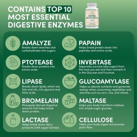 Digestive Enzymes - 800mg Blend of All 10 Most Essential Digestive and Pancreatic Enzymes (Amylase, Lipase, Bromelain, Lactase, Papain, Protease, Cellulase, Maltase, Invertase) by Double Wood