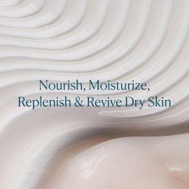 ELEMIS Superfood Midnight Facial 50ml, Moisturizer Face Cream, Hydrating Face Moisturizer for Dry Skin, Firming Facial Cream, Camu Camu & Vitamin C Cream