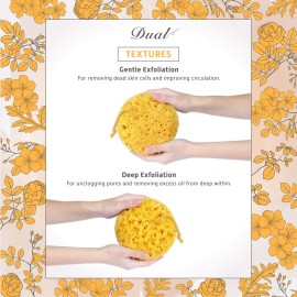 Spongentle Deep Cleansing Body Loofah Sponge, Natural Colors, for Bath and Shower, Multiple Textures for Gentle and Deep Exfoliation, Generous and Rich Lather, (Pack of 3) Spongentle Deep Cleansing Body Loofah Sponge, Natural Colors, for Bath and Shower, Multiple Textures for Gentle and Deep Exfoliation, Generous and Rich Lather, (Pack of 3)