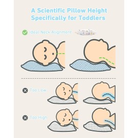 Babebay Toddler Pillow,13X18 Soft Toddler Pillows for Sleeping, Machine Washable Kids Pillow with Cotton Pillowcase, Perfect for Travel, Toddlers Cot Babebay Toddler Pillow,13X18 Soft Toddler Pillows for Sleeping, Machine Washable Kids Pillow with Cotton Pillowcase, Perfect for Travel, Toddlers Cot