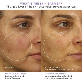 TATCHA Indigo Overnight Repair | Face Cream & Serum Treatment, Fragrance Free Night Cream, 50 ml | 1.7 oz TATCHA Indigo Overnight Repair | Face Cream & Serum Treatment, Fragrance Free Night Cream, 50 ml | 1.7 oz