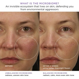 TATCHA Indigo Overnight Repair | Face Cream & Serum Treatment, Fragrance Free Night Cream, 50 ml | 1.7 oz TATCHA Indigo Overnight Repair | Face Cream & Serum Treatment, Fragrance Free Night Cream, 50 ml | 1.7 oz