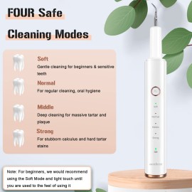 Plaque Remover for Teeth, Electric Tooth Cleaner Tartar Remover for Teeth with LED Light,4 Modes Rechargeable Teeth Cleaning Kit with Dental Tools, 2 Replaceable Heads (White A) Plaque Remover for Teeth, Electric Tooth Cleaner Tartar Remover for Teeth with LED Light,4 Modes Rechargeable Teeth Cleaning Kit with Dental Tools, 2 Replaceable Heads (White A)