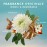 Moroccanoil Shower Gel, Fragrance Originale, 8.5 Fl. Oz.