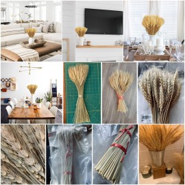 Uieke 17.7 Inches Dried Wheat Stalks, 100 Stems Dried Flowers 100% Natural Wheat for Home Kitchen Wedding Party Table Centerpiece Harvest Wreath Boho Farmhouse DIY Decoration Uieke 17.7 Inches Dried Wheat Stalks, 100 Stems Dried Flowers 100% Natural Wheat for Home Kitchen Wedding Party Table Centerpiece Harvest Wreath Boho Farmhouse DIY Decoration