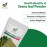 Mewar Impex 100% Organic Senna Leaves (250g)| Sonamukhi Powder | Senna Alexandrina | Cassia Angustifolia | Sanay Patti