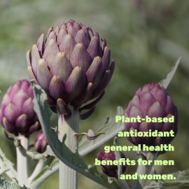 Apigenin, 100mg Per Serving, 240 Capsules - Raw Plant Extract from Chamomile Flower - Active Bioflavonoids & Antioxidants - Sleep & Relaxation Supplement - Non-GMO Apigenin, 100mg Per Serving, 240 Capsules - Raw Plant Extract from Chamomile Flower - Active Bioflavonoids & Antioxidants - Sleep & Relaxation Supplement - Non-GMO