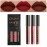 AMY\'S DIARY 3Pcs Dark Red Brown Matte 24-Hour Liquid Lipstick Sets, Permanent Stay On Lipstick Lip Set Smudge Proof Matte Labial Mate For Women 24 Horas Originales(Set02)