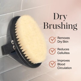 Kitsch Dry Brushing Body Brush for Lymphatic Drainage- Soft Bristles - Reduces Cellulites, Removes Dry Skin and Improves Blood Circulation, Body Exfoliator Scrubber for Glowing Skin, Sauna Accessories Kitsch Dry Brushing Body Brush for Lymphatic Drainage- Soft Bristles - Reduces Cellulites, Removes Dry Skin and Improves Blood Circulation, Body Exfoliator Scrubber for Glowing Skin, Sauna Accessories