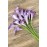 Letjolt Calla Lily Purple Artificial Flowers 12Pcs Table Flower Decor Faux Calla Lilies Bouquet for Wedding Bride Shower Home Decoration, Purple