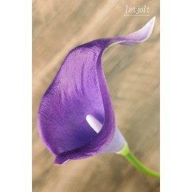 Letjolt Calla Lily Purple Artificial Flowers 12Pcs Table Flower Decor Faux Calla Lilies Bouquet for Wedding Bride Shower Home Decoration, Purple Letjolt Calla Lily Purple Artificial Flowers 12Pcs Table Flower Decor Faux Calla Lilies Bouquet for Wedding Bride Shower Home Decoration, Purple