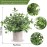 Der Rose 3 Pack Mini Potted Fake Plants Artificial Plastic Eucalyptus Plants for Home Office Desk Farmhouse Room Decor