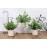 Der Rose 3 Pack Mini Potted Fake Plants Artificial Plastic Eucalyptus Plants for Home Office Desk Farmhouse Room Decor