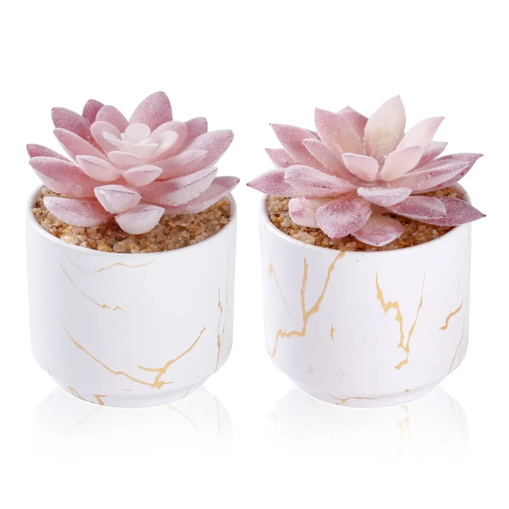 ZENIDA Artificial Plants and Succulents in 2 White Ceramic Pots,Small Fake Plants for Office and Desk Decor,Bathroom, Bedroom,Shelves for Women ZENIDA Artificial Plants and Succulents in 2 White Ceramic Pots,Small Fake Plants for Office and Desk Decor,Bathroom, Bedroom,Shelves for Women
