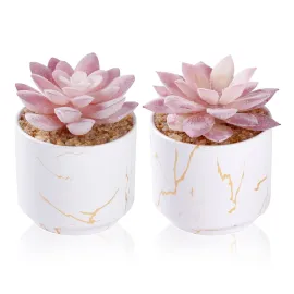 ZENIDA Artificial Plants and Succulents in 2 White Ceramic Pots,Small Fake Plants for Office and Desk Decor,Bathroom, Bedroom,Shelves for Women ZENIDA Artificial Plants and Succulents in 2 White Ceramic Pots,Small Fake Plants for Office and Desk Decor,Bathroom, Bedroom,Shelves for Women