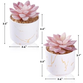 ZENIDA Artificial Plants and Succulents in 2 White Ceramic Pots,Small Fake Plants for Office and Desk Decor,Bathroom, Bedroom,Shelves for Women ZENIDA Artificial Plants and Succulents in 2 White Ceramic Pots,Small Fake Plants for Office and Desk Decor,Bathroom, Bedroom,Shelves for Women