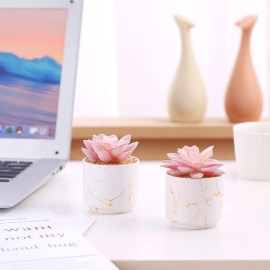 ZENIDA Artificial Plants and Succulents in 2 White Ceramic Pots,Small Fake Plants for Office and Desk Decor,Bathroom, Bedroom,Shelves for Women ZENIDA Artificial Plants and Succulents in 2 White Ceramic Pots,Small Fake Plants for Office and Desk Decor,Bathroom, Bedroom,Shelves for Women