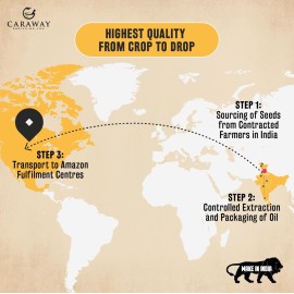 CARAWAY Black Cumin Seed Oil - Cold Pressed Black Seed Oil rich in Thymoquinone - Immunity Booster - Hair Care - Glass Bottle - 8 oz / 236 ml CARAWAY Black Cumin Seed Oil - Cold Pressed Black Seed Oil rich in Thymoquinone - Immunity Booster - Hair Care - Glass Bottle - 8 oz / 236 ml