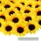 Coferset 40pcs Fake Sunflower Heads with Stems, 4 Sunflower Artificial Silk Flower Heads for Party Baby Shower Wedding Making Handicrafts Home Decor(Yellow)