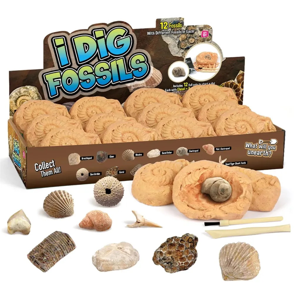Byncceh Fossil Dig Kit - Educational STEM Science Toys for Kids Ages 6+ - Dig Up 12 Fossils Real & Dinosaur Bones Rocks - Digging Activities Kits - Paleontology, Discovery Gifts for Boys & Girls Byncceh Fossil Dig Kit - Educational STEM Science Toys for Kids Ages 6+ - Dig Up 12 Fossils Real & Dinosaur Bones Rocks - Digging Activities Kits - Paleontology, Discovery Gifts for Boys & Girls