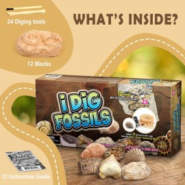 Byncceh Fossil Dig Kit - Educational STEM Science Toys for Kids Ages 6+ - Dig Up 12 Fossils Real & Dinosaur Bones Rocks - Digging Activities Kits - Paleontology, Discovery Gifts for Boys & Girls Byncceh Fossil Dig Kit - Educational STEM Science Toys for Kids Ages 6+ - Dig Up 12 Fossils Real & Dinosaur Bones Rocks - Digging Activities Kits - Paleontology, Discovery Gifts for Boys & Girls