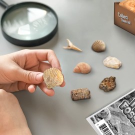 Byncceh Fossil Dig Kit - Educational STEM Science Toys for Kids Ages 6+ - Dig Up 12 Fossils Real & Dinosaur Bones Rocks - Digging Activities Kits - Paleontology, Discovery Gifts for Boys & Girls Byncceh Fossil Dig Kit - Educational STEM Science Toys for Kids Ages 6+ - Dig Up 12 Fossils Real & Dinosaur Bones Rocks - Digging Activities Kits - Paleontology, Discovery Gifts for Boys & Girls