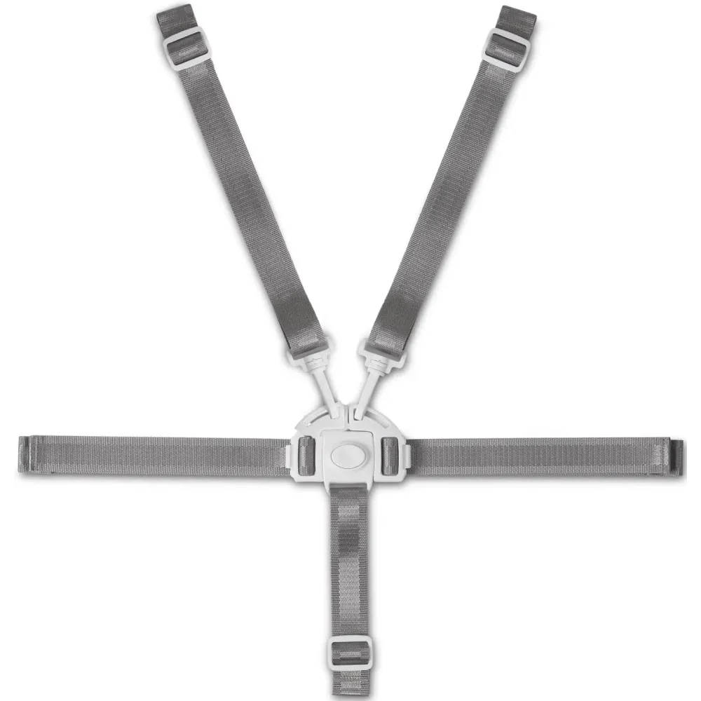 Todays Kids High Chair Straps, Compatible with Graco Highchairs, Replacement Harness Straps for Most 5 Point High Chairs, Replacement High Chair Belt Todays Kids High Chair Straps, Compatible with Graco Highchairs, Replacement Harness Straps for Most 5 Point High Chairs, Replacement High Chair Belt