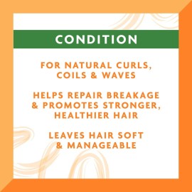 Cantu Leave-In Conditioning Cream for Natural Hair with Pure Shea Butter, 12 oz (Pack of 2) Cantu Leave-In Conditioning Cream for Natural Hair with Pure Shea Butter, 12 oz (Pack of 2)