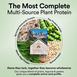 WELLBEING NUTRITION Organic Vegan Plant Protein Isolate Powder | 22g Protein, 5g BCAA | Prebiotics & 3B CFU Probiotics | No Bloating | Easy to Digest | French Vanilla Caramel- 500gm