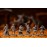 Dark Souls The Role Playing Game: Unkindled Heroes Pack 2 Miniatures & Stat Cards