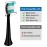 Replacement Toothbrush Heads Compatible with AquaSonic Black Series Vibe Series Electric Toothbrush, Curved Shape Design Planted with Nylon Bristle (Black)
