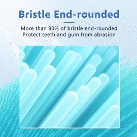 Replacement Toothbrush Heads Compatible with AquaSonic Black Series Vibe Series Electric Toothbrush, Curved Shape Design Planted with Nylon Bristle (Black) Replacement Toothbrush Heads Compatible with AquaSonic Black Series Vibe Series Electric Toothbrush, Curved Shape Design Planted with Nylon Bristle (Black)