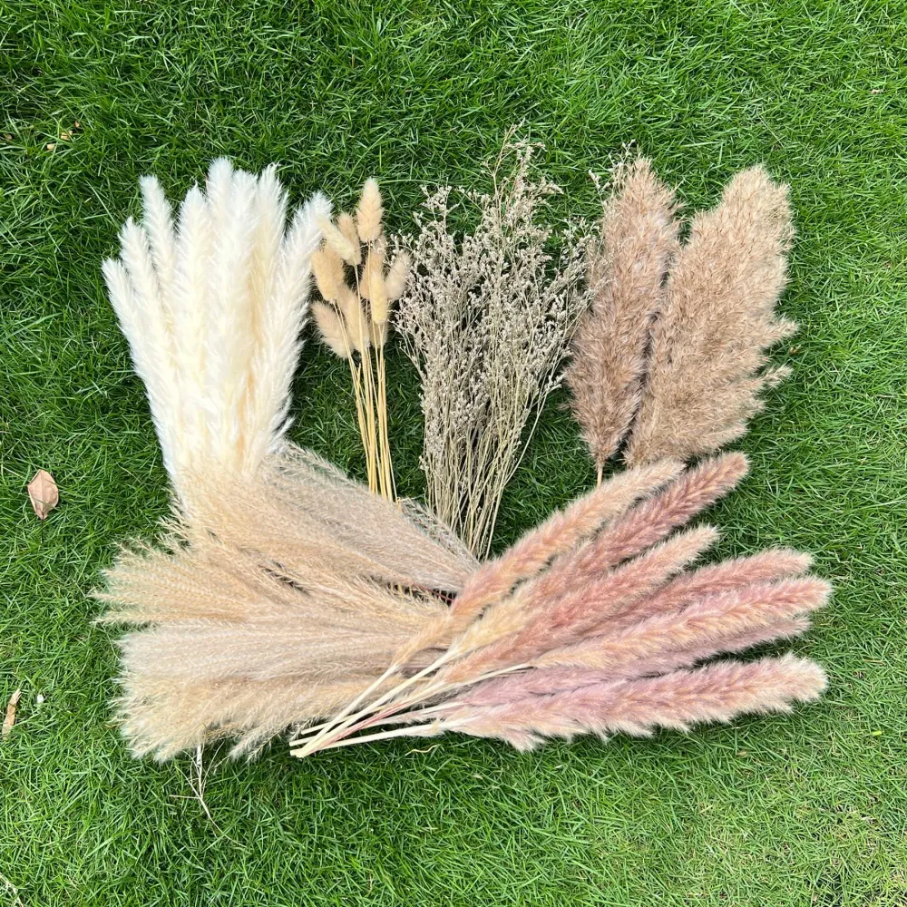 100Pcs Pampas Grass Boho Home Decor 17 inch Natural Dried Flowers-Pampas Grass Contains Bunny Tails White Pampas Brown Pampas.Boho Decor for Farmhouse Wedding Boho Wall Bathroom Office Kitchen 100Pcs Pampas Grass Boho Home Decor 17 inch Natural Dried Flowers-Pampas Grass Contains Bunny Tails White Pampas Brown Pampas.Boho Decor for Farmhouse Wedding Boho Wall Bathroom Office Kitchen