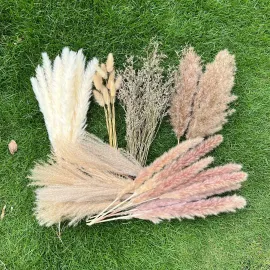 100Pcs Pampas Grass Boho Home Decor 17 inch Natural Dried Flowers-Pampas Grass Contains Bunny Tails White Pampas Brown Pampas.Boho Decor for Farmhouse Wedding Boho Wall Bathroom Office Kitchen 100Pcs Pampas Grass Boho Home Decor 17 inch Natural Dried Flowers-Pampas Grass Contains Bunny Tails White Pampas Brown Pampas.Boho Decor for Farmhouse Wedding Boho Wall Bathroom Office Kitchen