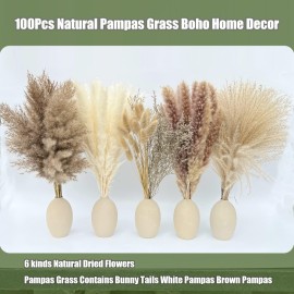 100Pcs Pampas Grass Boho Home Decor 17 inch Natural Dried Flowers-Pampas Grass Contains Bunny Tails White Pampas Brown Pampas.Boho Decor for Farmhouse Wedding Boho Wall Bathroom Office Kitchen 100Pcs Pampas Grass Boho Home Decor 17 inch Natural Dried Flowers-Pampas Grass Contains Bunny Tails White Pampas Brown Pampas.Boho Decor for Farmhouse Wedding Boho Wall Bathroom Office Kitchen