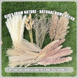 100Pcs Pampas Grass Boho Home Decor 17 inch Natural Dried Flowers-Pampas Grass Contains Bunny Tails White Pampas Brown Pampas.Boho Decor for Farmhouse Wedding Boho Wall Bathroom Office Kitchen 100Pcs Pampas Grass Boho Home Decor 17 inch Natural Dried Flowers-Pampas Grass Contains Bunny Tails White Pampas Brown Pampas.Boho Decor for Farmhouse Wedding Boho Wall Bathroom Office Kitchen